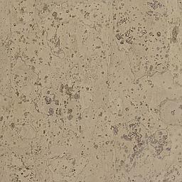 Cement Grey - Corcho - Barriga