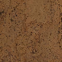 Auburn - Corcho - Barriga