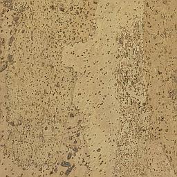 Oyster - Corcho - Barriga