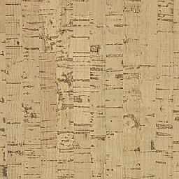 Oyster - Cork - Edipo