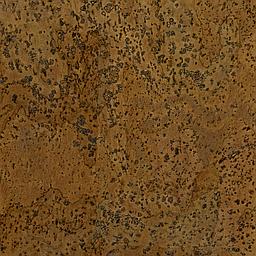 Walnut - Corcho - Barriga