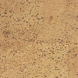 Pastis - Liège - Baltico