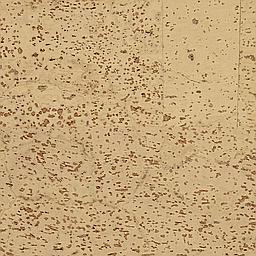 Sandy White - Liège - Baltico