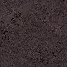 Purple - Cork - Cleopatra