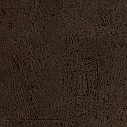 Cocoa - Liège - Baltico