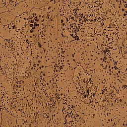 Praline - Corcho - Barriga