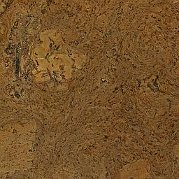 Walnut - Cork - Cleopatra