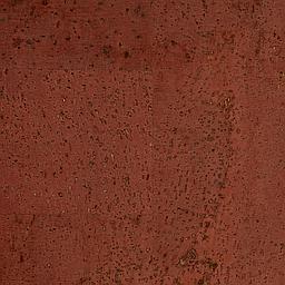 Algerian Red - Liège - Baltico