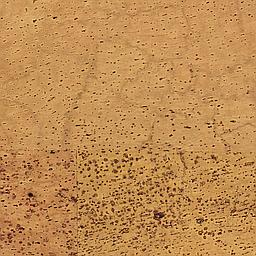 Maple - Corcho - Barriga