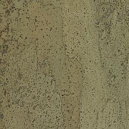 Aqua - Corcho - Barriga