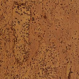 Porto - Corcho - Barriga