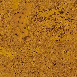 Mustard Yellow - Cork - Cleopatra