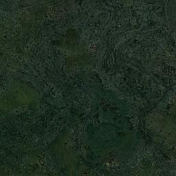 Steel Green - Cork - Cleopatra Negra