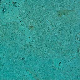 Turquoise - Cork - Cleopatra Negra