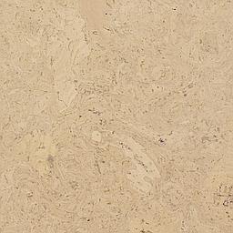 Neige - Cork - Cleopatra