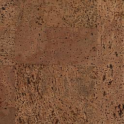 Sienna - Liège - Baltico