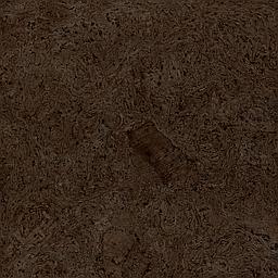 Cocoa - Cork - Cleopatra