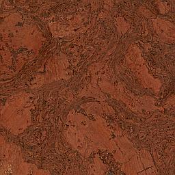 Red Maple - Cork - Cleopatra Negra