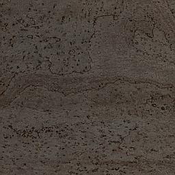 Black - Corcho - Barriga