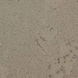 Ciel - Cork - Cleopatra