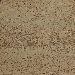 Bonneville - Corcho - Barriga