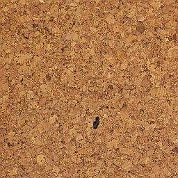 Praline - Cork - Marmol