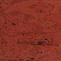 Scarlet Red - Corcho - Barriga