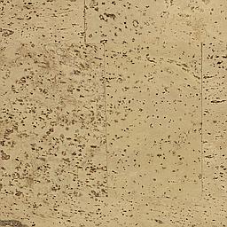 Oyster - Liège - Baltico