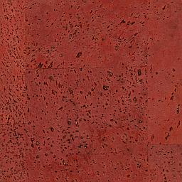 Scarlet Red - Liège - Baltico