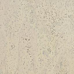 Stormy White - Liège - Baltico