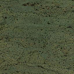 Forest Green - Corcho - Barriga