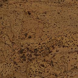 Honey - Corcho - Barriga