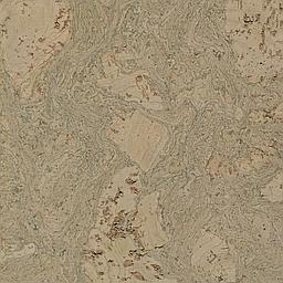 Stone Grey - Cork - Cleopatra Negra