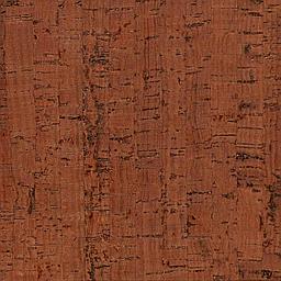 Red Maple - Cork - Edipo