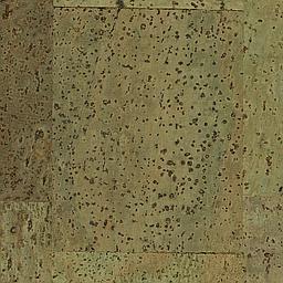 Primavera - Liège - Baltico