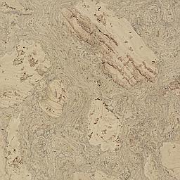 Driftwood - Cork - Cleopatra Negra