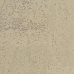 Tundra - Liège - Baltico