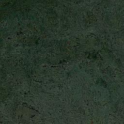 Steel Green - Cork - Cleopatra