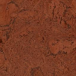 Red Maple - Cork - Cleopatra