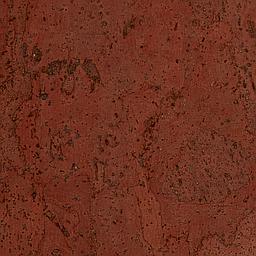 Algerian Red - Corcho - Barriga