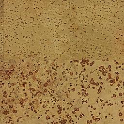 Emerald - Liège - Baltico