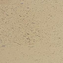 Cinnamon - Liège - Baltico