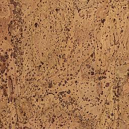 Sunny Yellow - Corcho - Barriga