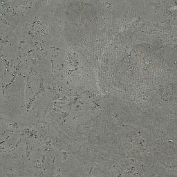 Silver Grey - Cork - Cleopatra