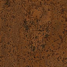 Pecan - Corcho - Barriga