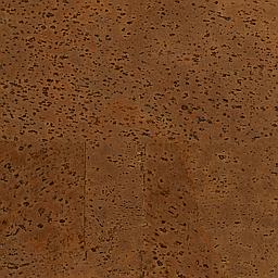 Pecan - Liège - Baltico