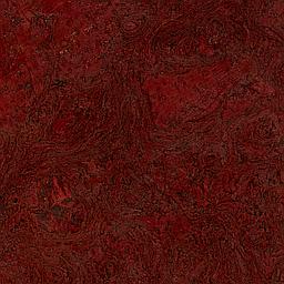 Burgundy - Cork - Cleopatra Negra