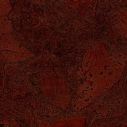 Paprika - Cork - Cleopatra Negra