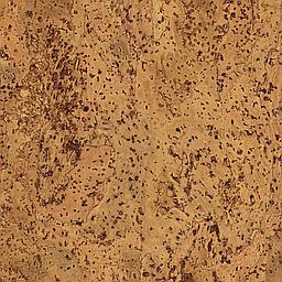 Maple - Liège - Baltico