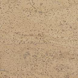 Bleach - Corcho - Barriga